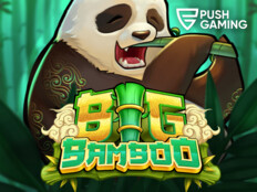 Free casino bingo28